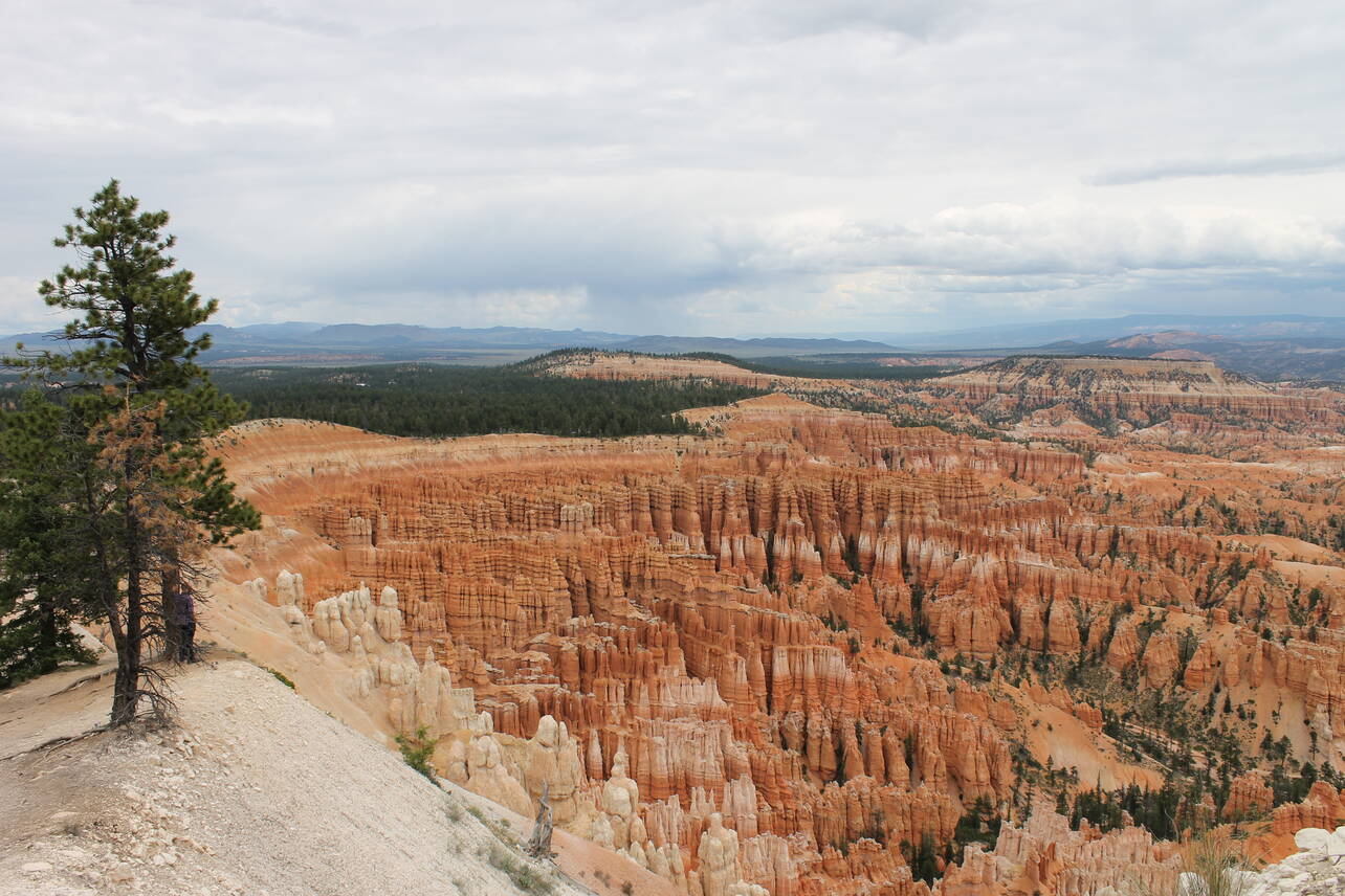 Losee Canyon a Bryce Canyon NP